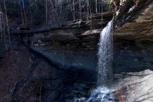 43Twinkling Tinker Joshua Douglas  Cortland County