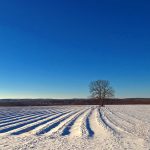 16 																																																																																											
Winter Field	Dennis Waldron																																																																																																																																				Onondaga