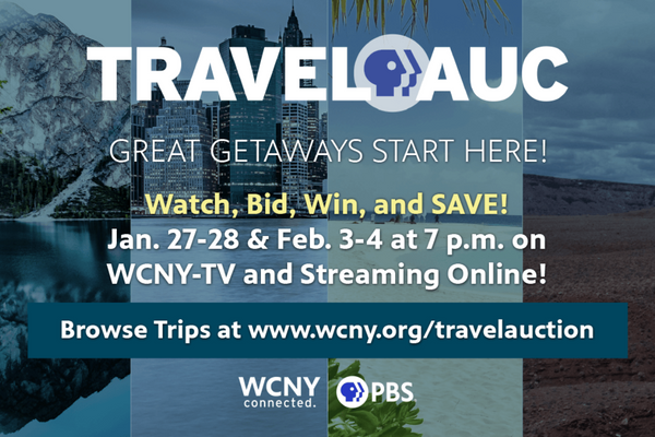 travel auction promo code