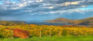 5 																															A Soft Rain on Canandaigua LakeGeorge Wallace	Ontario