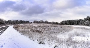 25 																																																								Landscape in a Snow-GlobeSayge Hill	Onondaga