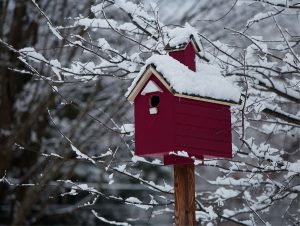 84 Winter BirdhouseRalph Ortiz Oneida County