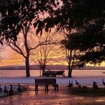 23 																																																																																											
Winter in the Park				Wendy Foster																																																																																																																																							Onondaga