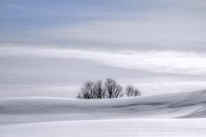 80A farmer's field in Altmar, NYLaurel Haller Oswego County