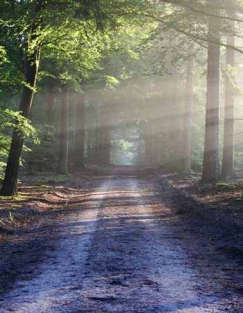 S10 Ep26: The World Around Us