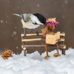 15 																																																																																											
Wintry StorytimeJody Hildreth																																																																																																																																				Oneida