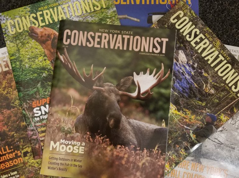 magazine, the Conservationist, Adirondacks, recycle
