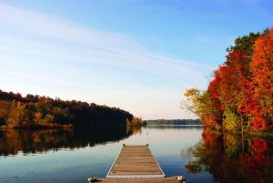 14 				Dive into the Fall SeasonSusan Jones		Oneida