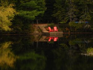 102 Room for Two ?Linda Menicos Herkimer County