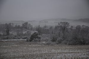 4Snowy MorningBob Janitz Chenango