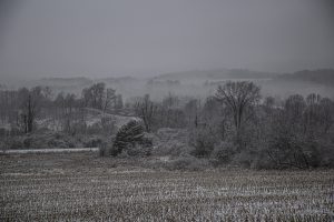 4Snowy MorningBob Janitz Chenango