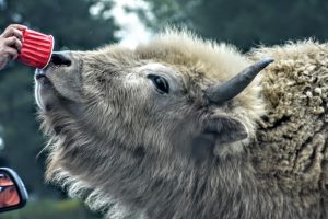 24Zoo photographyLisa Lynch Chenango