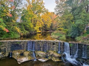 50Autumn waterfall Meghan Fremouw Ontario County