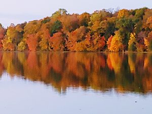 43 																																									Fall ColorsSusan StukusOnondaga