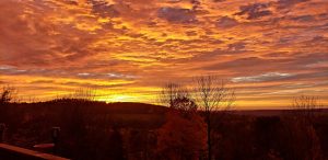29 																																								Virgil Sunset	Debbie FitzgeraldCortland