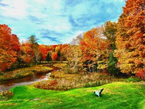 13 																																		Backyard ViewSteven J. Wilczek		Oneida