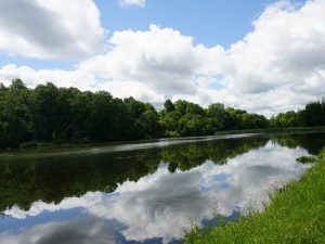 33Reflections of a summer dayGrace Carroll Onondaga County