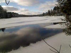 39Winter Snow WavesSusan JonesOneida County