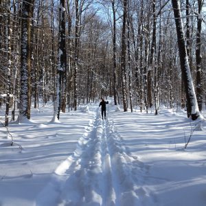 18Cross Country SkiingCynthia Hauschild Onondaga County