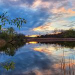 34 																																																																																											
Nature's Canvas																																																																																																																	Mary Alice Muncy																																																																											Onondaga