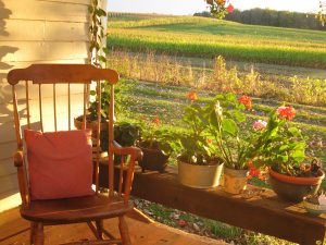 79Peaceful PorchMary Barber Ontario County