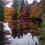 2 																																																																																											
Infamous Boat House																																																																																																																																																					Patrick Babiarz																																																																																																								Herkimer