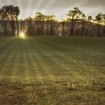 24 																																																																									Sherburne Sunset											Robert Janitz											Chenango