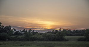 1 											Sherburne SunsetRobert JanitzChenango