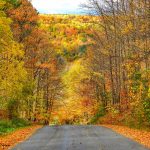 63 																																																																																											
The Golden Hills of Autumn	Marcia Bower																																																																																																																																Onondaga